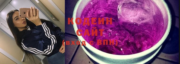 сатива Каменка