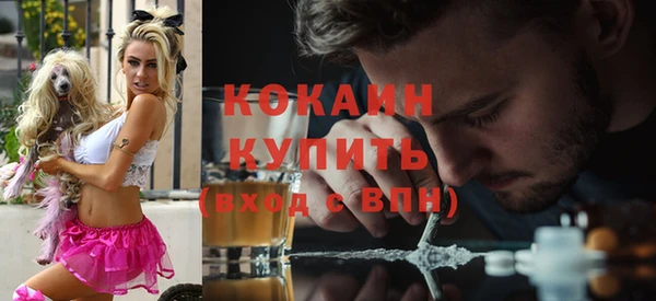 сатива Каменка