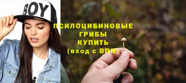сатива Каменка