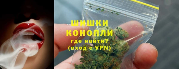 сатива Каменка
