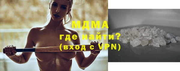 сатива Каменка