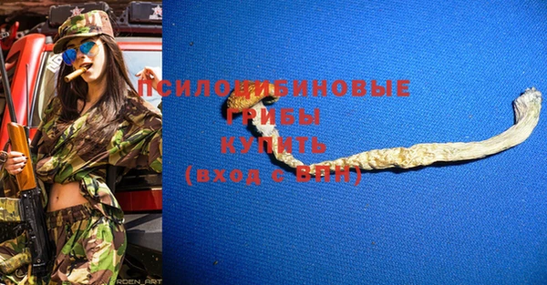 сатива Каменка