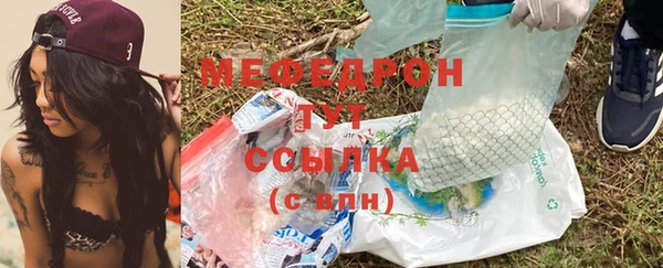 сатива Каменка