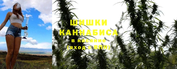сатива Каменка