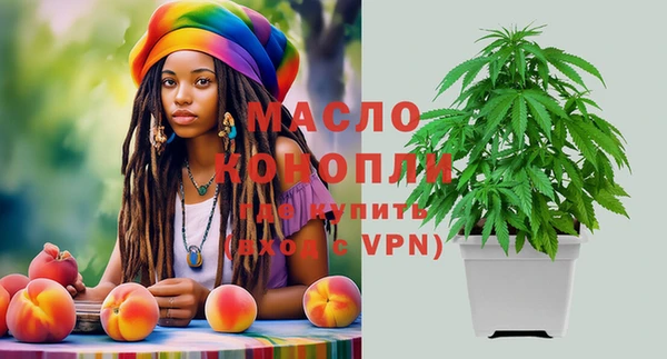 сатива Каменка