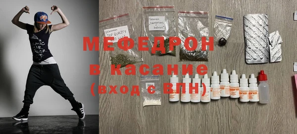 сатива Каменка