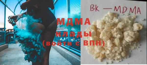 сатива Каменка