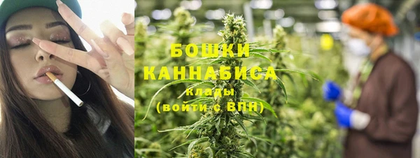 сатива Каменка