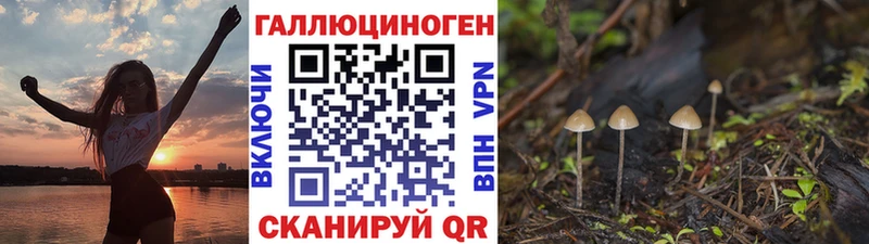 Галлюциногенные грибы ЛСД Великие Луки