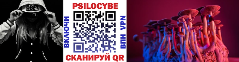 Купить где  Великие Луки  Псилоцибиновые грибы мухоморы 